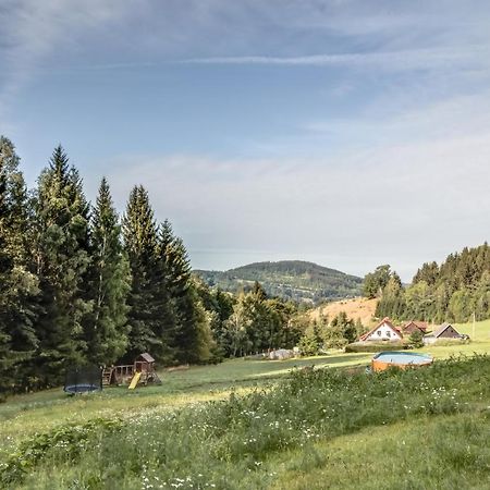 Ski, Hike & Bike Apartman Rokytnice Nad Jizerou Exterior photo